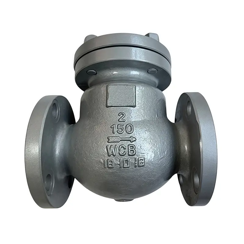 WCB American Standard Valve Check Valve